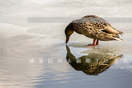 浦发信用卡逾期30天会上门吗 浦发信用卡逾期30天会上门吗