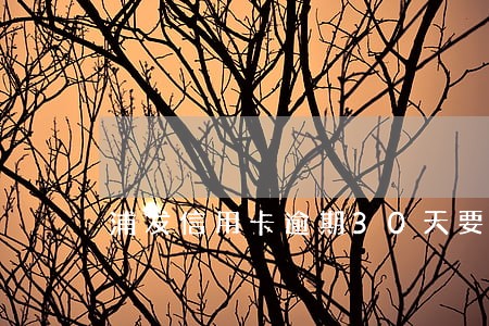 浦发信用卡逾期30天要紧么 浦发信用卡逾期30天要紧么