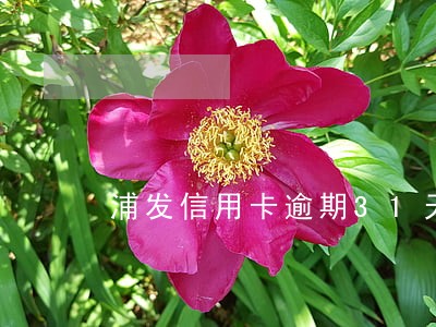 浦发信用卡逾期31天