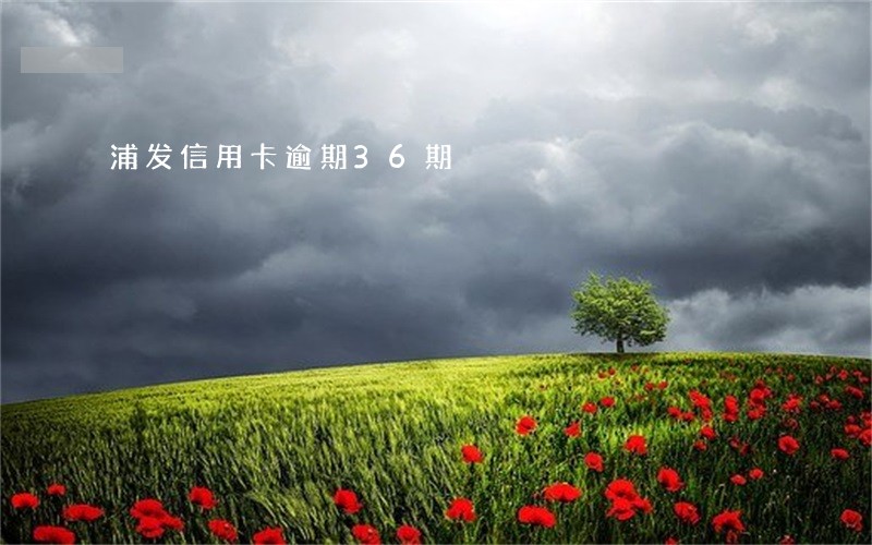 浦发信用卡逾期36期