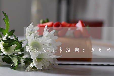 浦发信用卡逾期3万可以慢慢还吗 浦发信用卡逾期3万可以慢慢还吗
