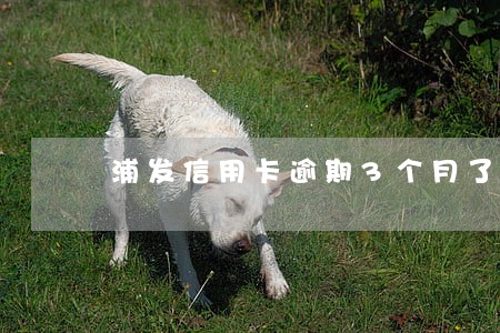 浦发信用卡逾期3个月了