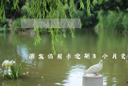 浦发信用卡逾期3个月变2万
