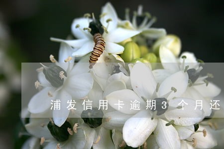浦发信用卡逾期3个月还能用吗 浦发信用卡逾期3个月还能用吗