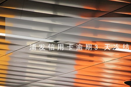 浦发信用卡逾期3天冻结