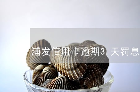 浦发信用卡逾期3天罚息怎么算 浦发信用卡逾期3天罚息怎么算