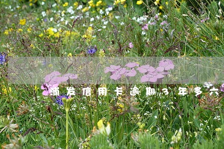 浦发信用卡逾期3年多六万多 浦发信用卡逾期3年多六万多