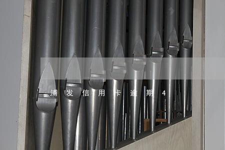 浦发信用卡逾期4