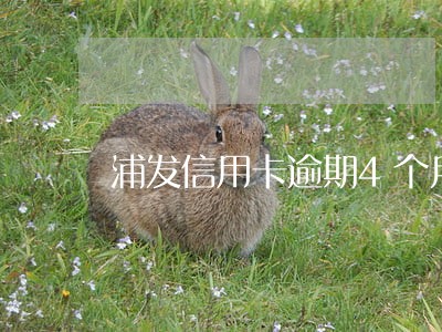 浦发信用卡逾期4个月5万 浦发信用卡逾期4个月5万