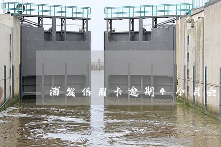 浦发信用卡逾期4个月会这么样