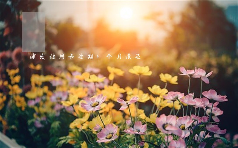 浦发信用卡逾期4个月没还 浦发信用卡逾期4个月没还