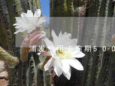 浦发信用卡逾期5000多半年