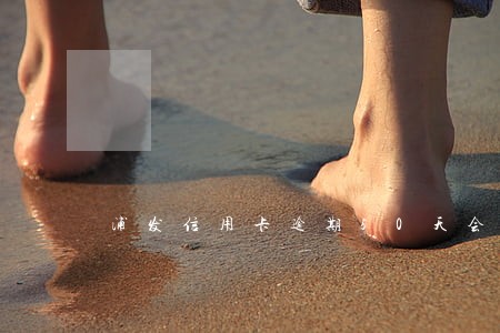 浦发信用卡逾期50天会被冻结 浦发信用卡逾期50天会被冻结