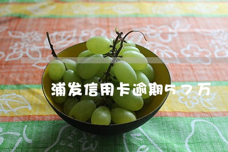 浦发信用卡逾期57万 浦发信用卡逾期57万