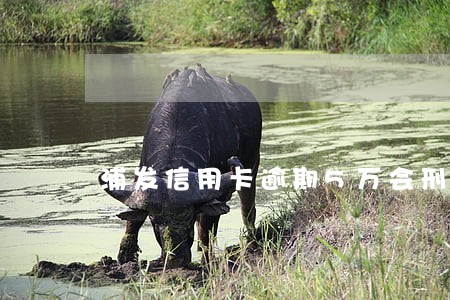 浦发信用卡逾期5万会刑事还吗 浦发信用卡逾期5万会刑事还吗