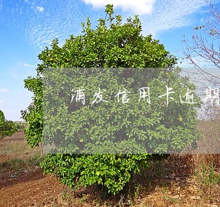 浦发信用卡逾期5个月还款 浦发信用卡逾期5个月还款