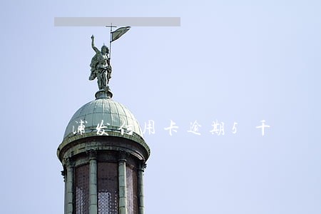 浦发信用卡逾期5千