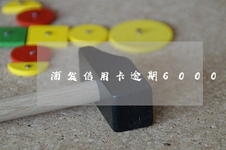 浦发信用卡逾期6000 浦发信用卡逾期6000