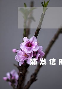 浦发信用卡逾期6万