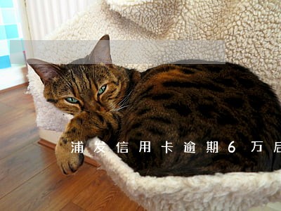 浦发信用卡逾期6万后怎么协商 浦发信用卡逾期6万后怎么协商