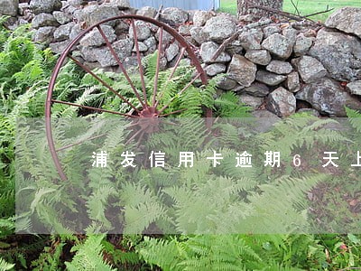 浦发信用卡逾期6天上征信吗 浦发信用卡逾期6天上征信吗