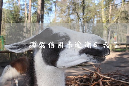 浦发信用卡逾期6天了 浦发信用卡逾期6天了