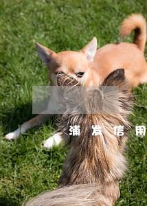 浦发信用卡逾期6天还最低 浦发信用卡逾期6天还最低