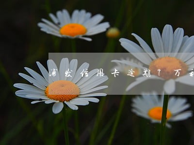 浦发信用卡逾期7万利息11万