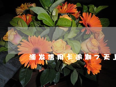 浦发信用卡逾期7天上征信吗 浦发信用卡逾期7天上征信吗