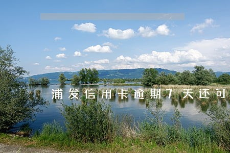 浦发信用卡逾期7天还可以用吗