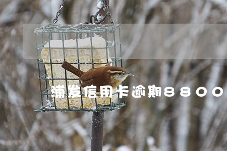 浦发信用卡逾期8800 浦发信用卡逾期8800