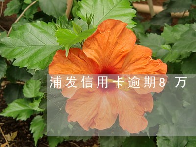 浦发信用卡逾期8万