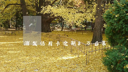 浦发信用卡逾期8万后果 浦发信用卡逾期8万后果