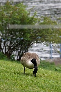 浦发信用卡逾期8万好几个月 浦发信用卡逾期8万好几个月