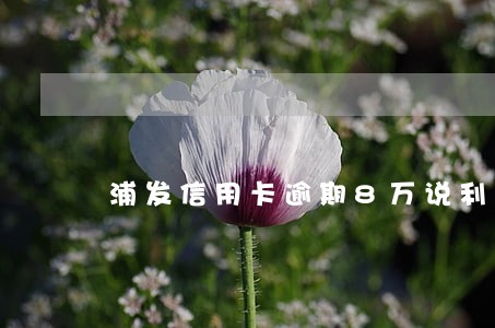 浦发信用卡逾期8万说利息减免