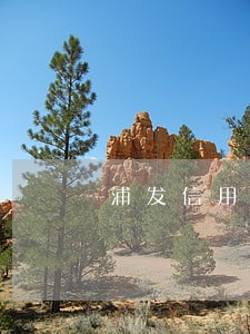 浦发信用卡逾期8天会上征信吗 浦发信用卡逾期8天会上征信吗