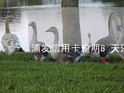 浦发信用卡逾期8天还款6 浦发信用卡逾期8天还款6