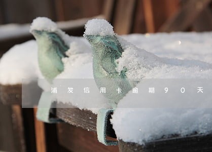 浦发信用卡逾期90天