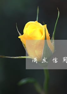浦发信用卡逾期90天还款 浦发信用卡逾期90天还款
