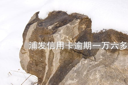 浦发信用卡逾期一万六多久会上门 浦发信用卡逾期一万六多久会上门