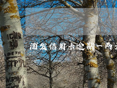浦发信用卡逾期一两天有没有影响 浦发信用卡逾期一两天有没有影响