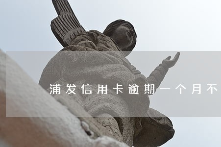 浦发信用卡逾期一个月不能提额