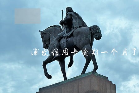 浦发信用卡逾期一个月了会怎么样