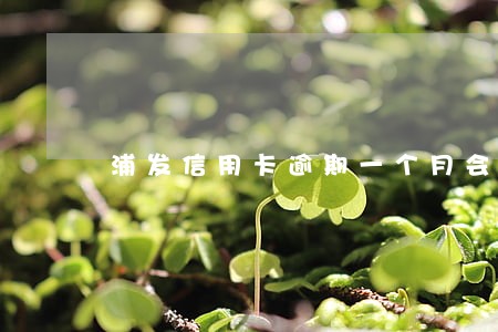 浦发信用卡逾期一个月会停止吗 浦发信用卡逾期一个月会停止吗