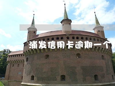 浦发信用卡逾期一个月冻结卡 浦发信用卡逾期一个月冻结卡