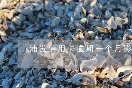 浦发信用卡逾期一个月影响征信吗 浦发信用卡逾期一个月影响征信吗