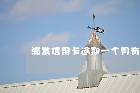 浦发信用卡逾期一个月有事 浦发信用卡逾期一个月有事