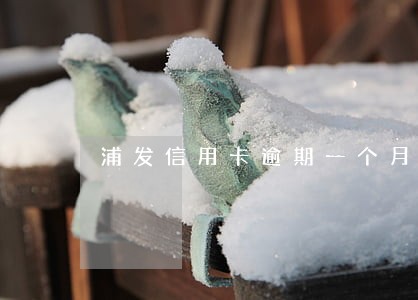 浦发信用卡逾期一个月的后果 浦发信用卡逾期一个月的后果