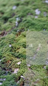 浦发信用卡逾期一个月能冻结吗 浦发信用卡逾期一个月能冻结吗
