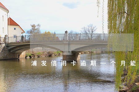浦发信用卡逾期一个月能提额吗 浦发信用卡逾期一个月能提额吗